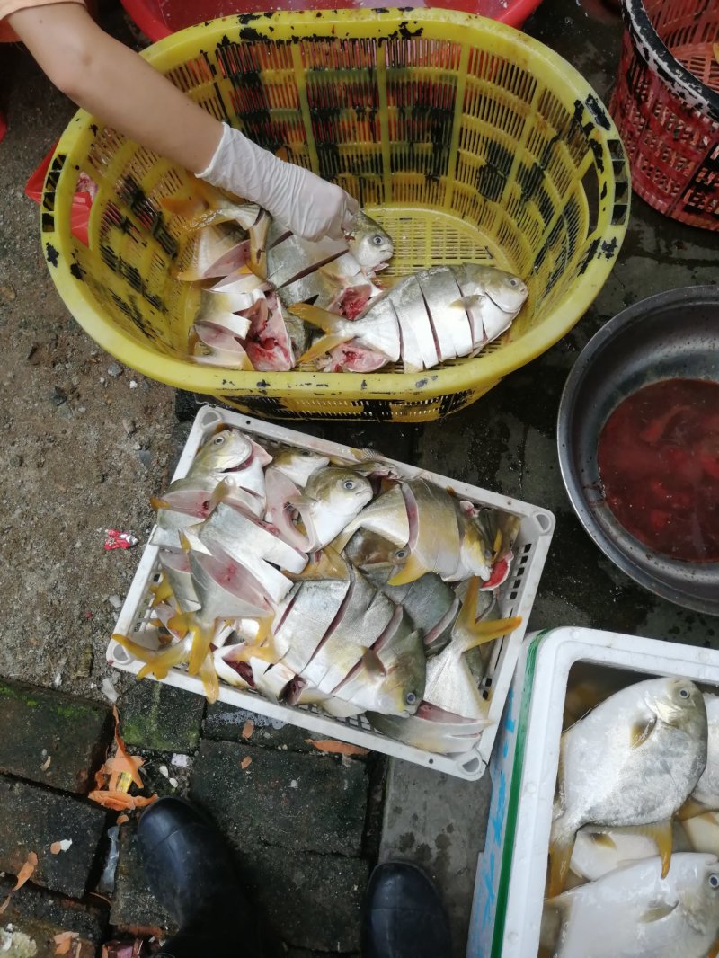 晒鱼场精心出品：优质金鲳鱼干，满满海味诱惑