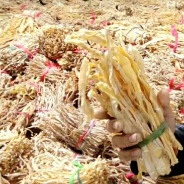 农家手工小竹笋麻竹笋小笋干原味笋干