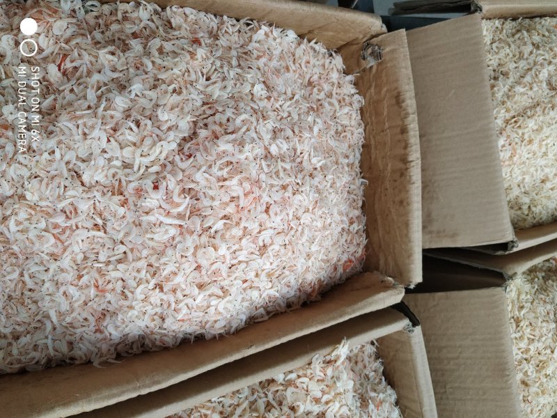 虾皮，咸虾皮，淡干虾皮量大优惠批发价不包邮