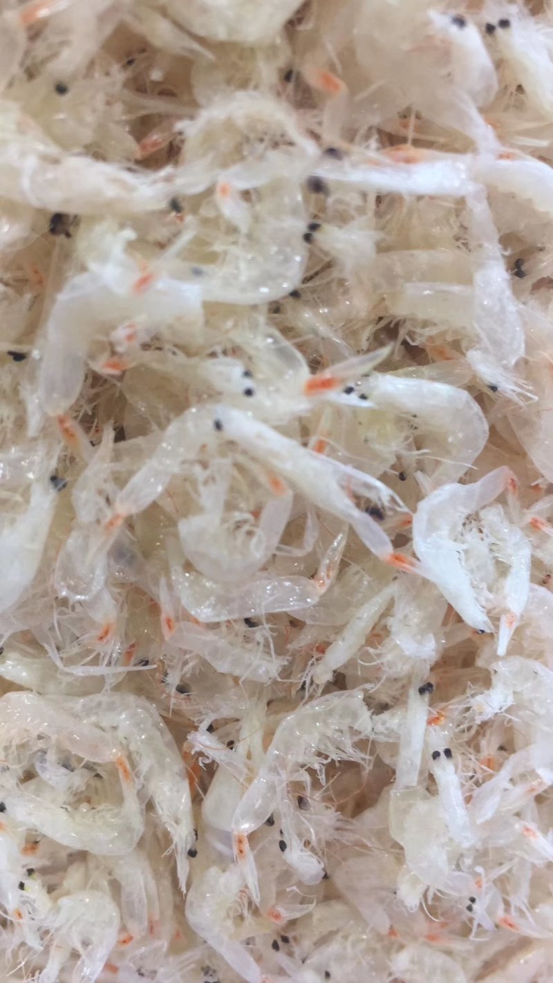 虾皮，咸虾皮，淡干虾皮量大优惠批发价不包邮