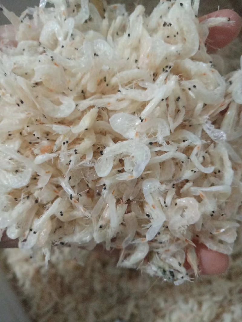 虾皮，咸虾皮，淡干虾皮量大优惠批发价不包邮
