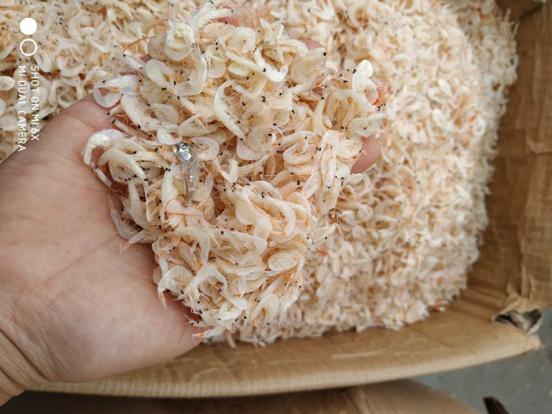 虾皮，咸虾皮，淡干虾皮量大优惠批发价不包邮