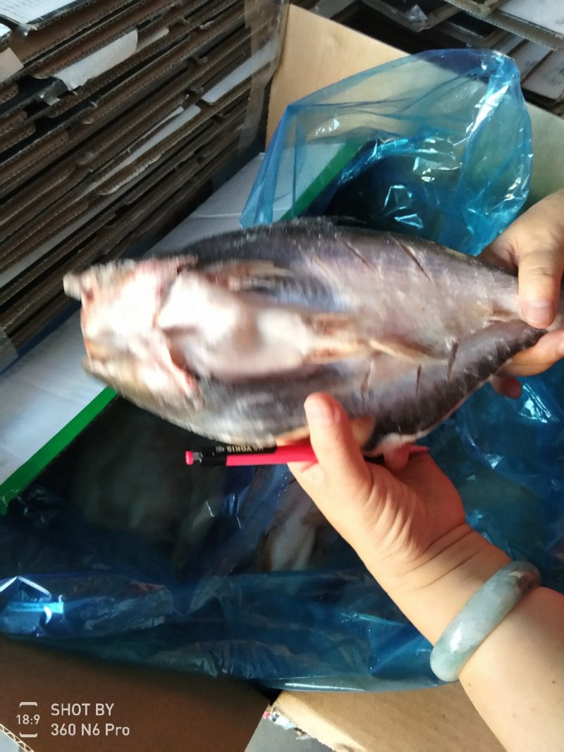 9到19条开背巴沙鱼，干冰带冰都有，价格便宜到超乎想象，