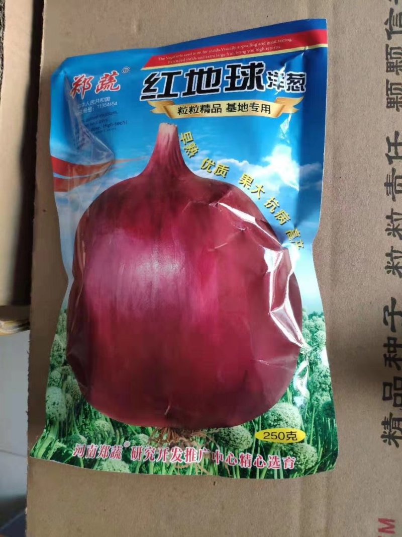 【优质】大红色扁圆形洋葱种子鸿运当头红地球