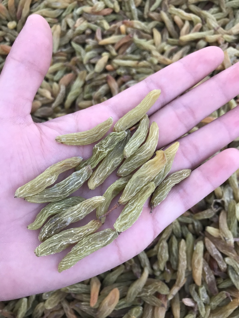 香蕉王葡萄干