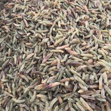 香蕉王葡萄干