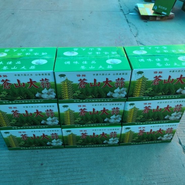 【优质大蒜】苍山大蒜全年批发有货量大从优商超品质