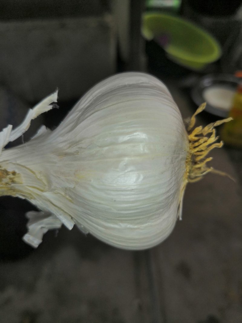 【优质大蒜】苍山大蒜全年批发有货量大从优商超品质