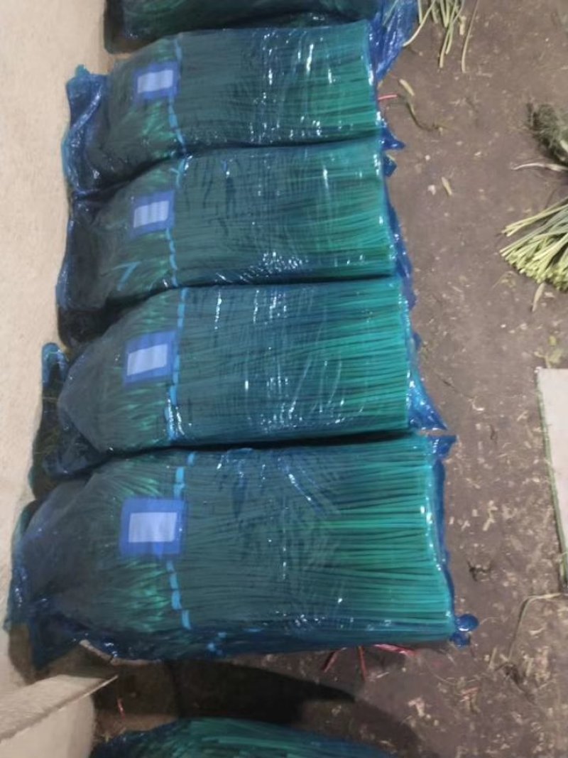 蒜苔苍山蒜薹全年有货价格便宜欢迎客商采购
