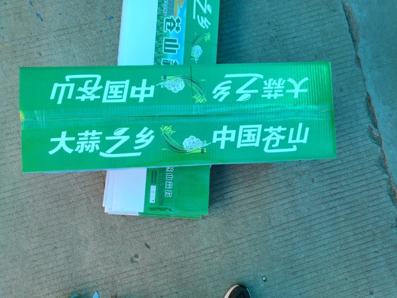 蒜苔苍山蒜薹全年有货价格便宜欢迎客商采购