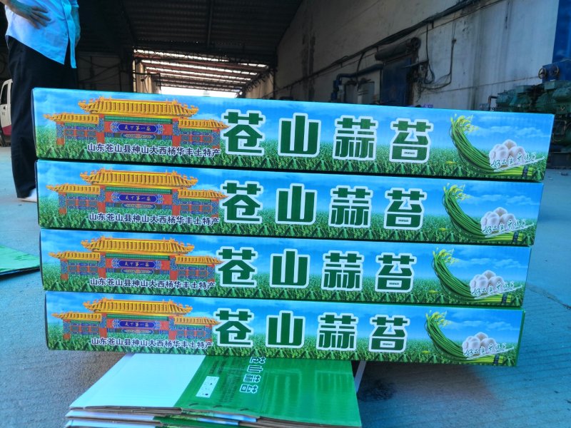 蒜苔苍山蒜薹全年有货价格便宜欢迎客商采购