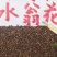 水翁花千余品种供应承接订单