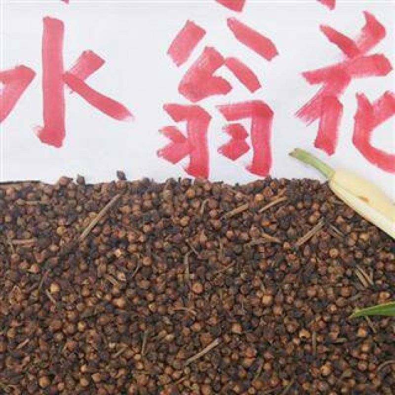 水翁花千余品种供应承接订单