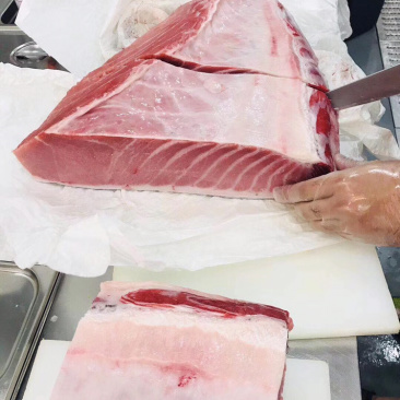 蓝鳍红肉