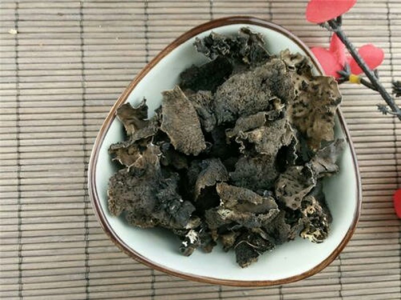 石耳千余品种供应承接订单