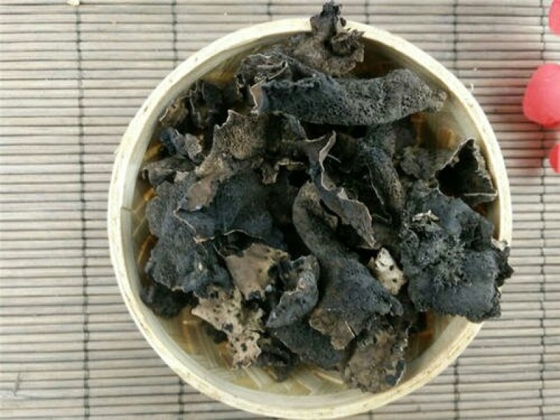 石耳千余品种供应承接订单