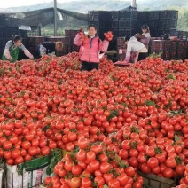 一手货源全国批发量大