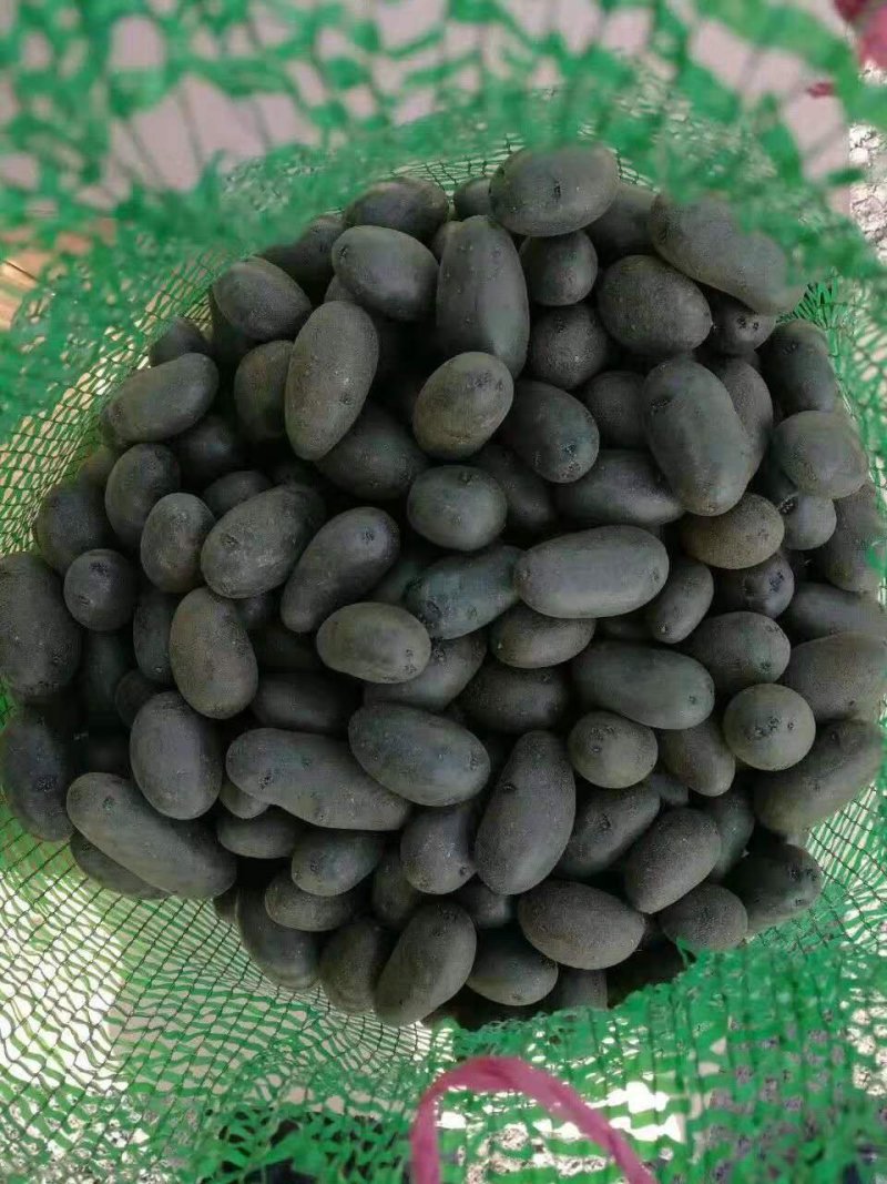 黑土豆