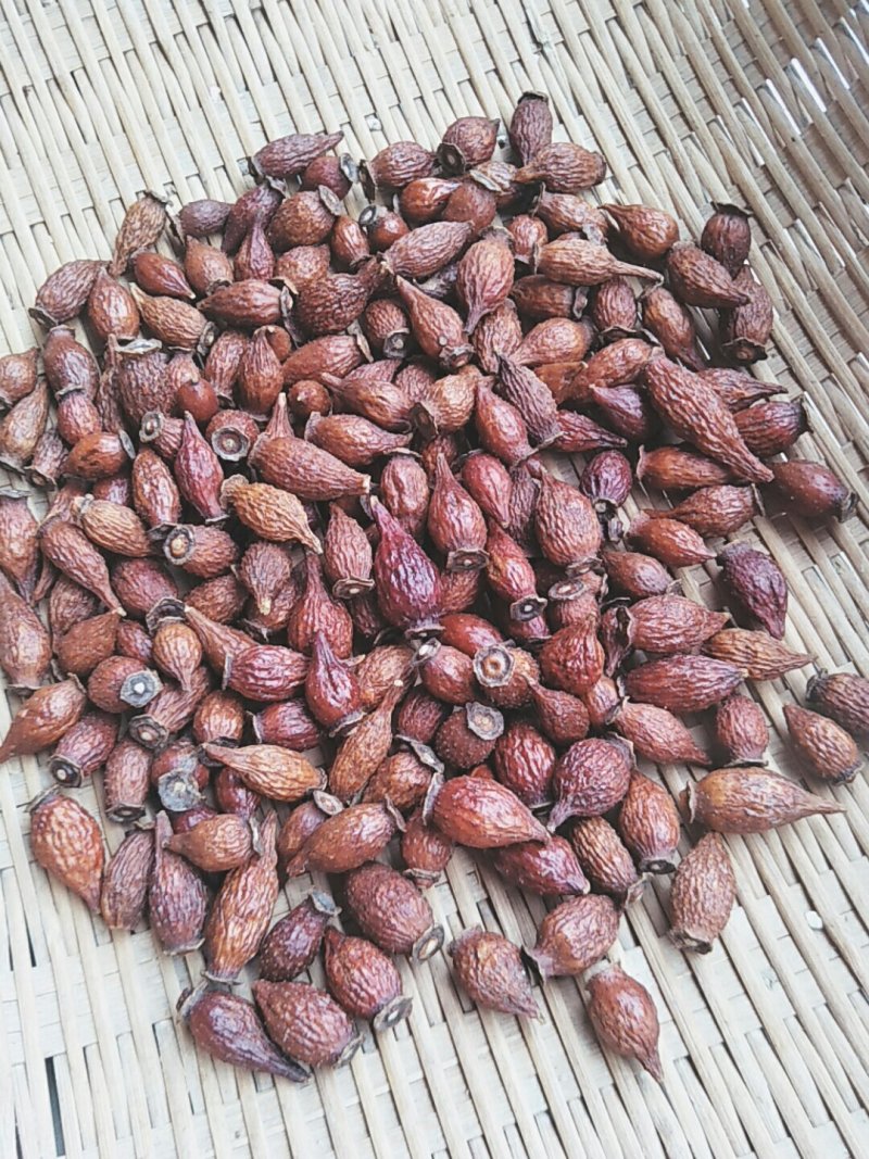 金樱子干货