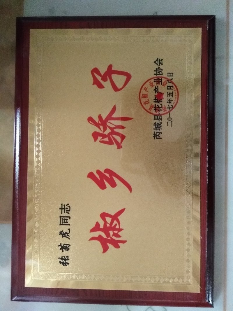【包邮】大红袍花椒梅花椒一件代发味道嘛色泽好颗粒大