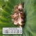 红芽芋2厘米以上百度搜南阳袁雷蔬菜交易
