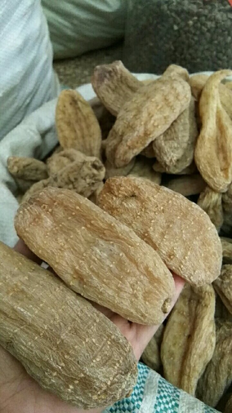 天麻