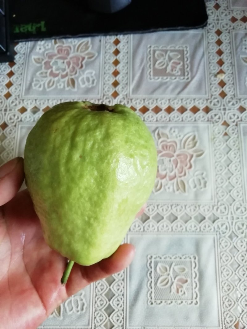 大量供应芭乐味红心番石榴3元包邮