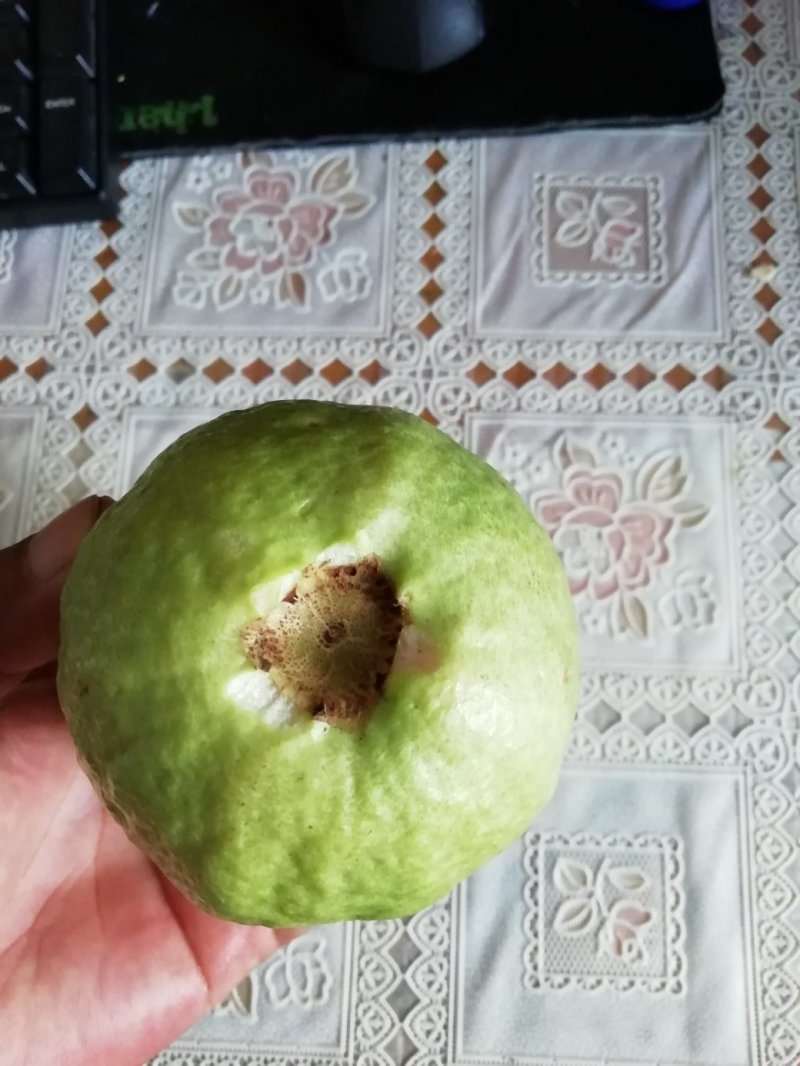 大量供应芭乐味红心番石榴3元包邮