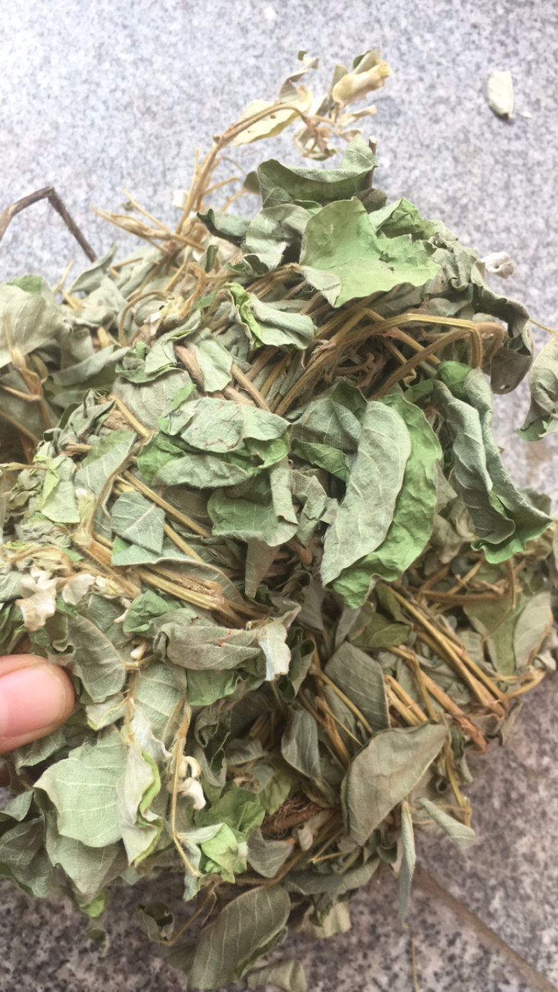 金钱草