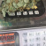 金钱草