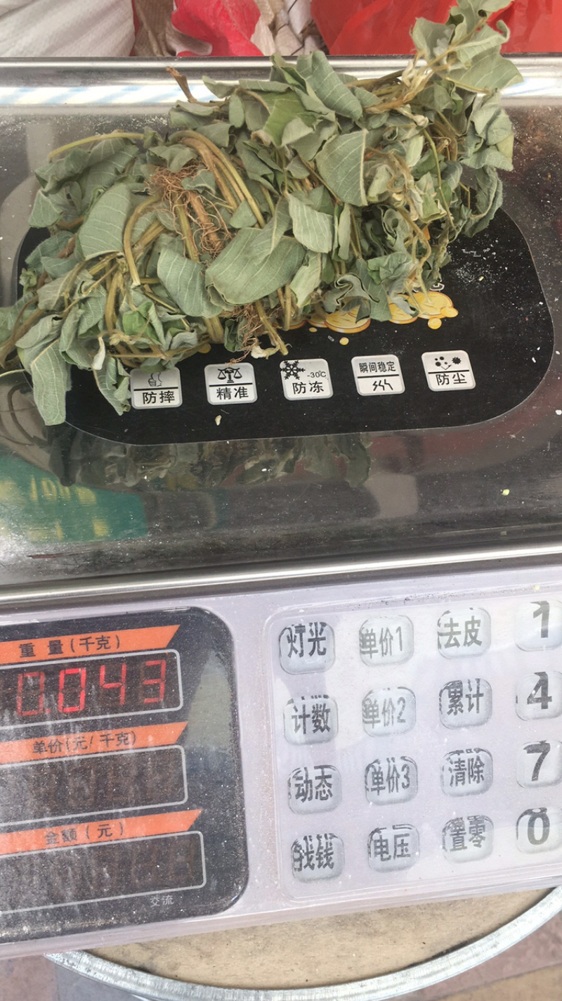 金钱草