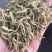 山东金银花