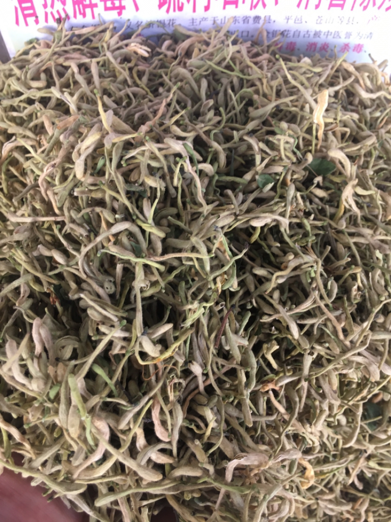 山东金银花