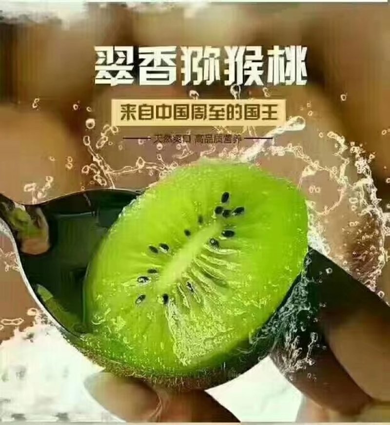 亚持猕猴桃，成熟早，果形园柱形，纯甜上市了。