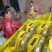 亚持猕猴桃，成熟早，果形园柱形，纯甜上市了。