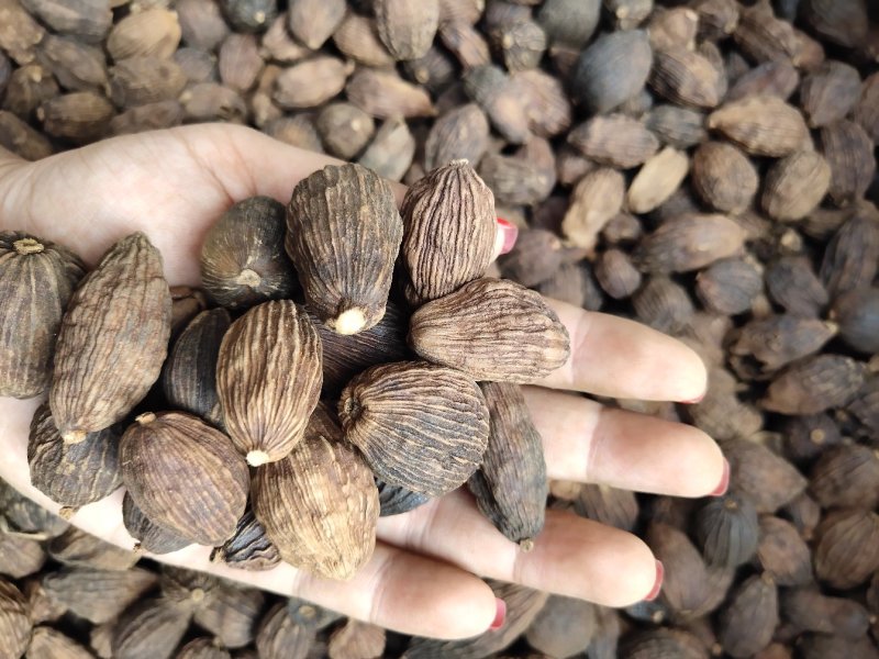 草果电烤炭烤调味香料调味料火锅底料云南越南产地零售批发