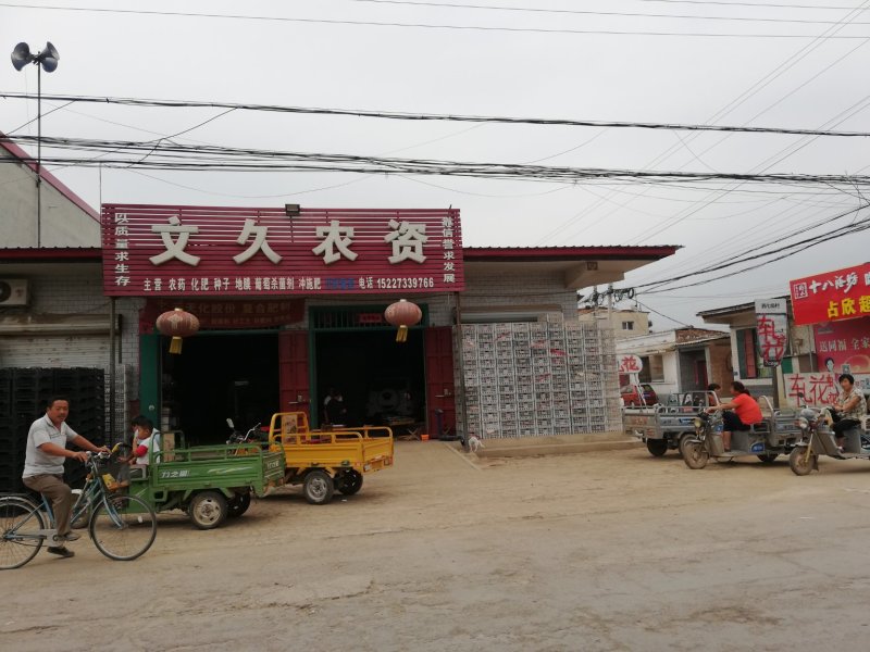七级巨峰葡萄大量上市