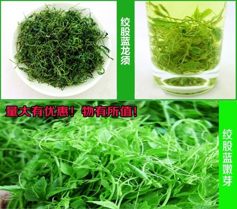 绞股蓝龙须茶