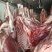 尼日利亚冷冻驴肉前腿和后腿