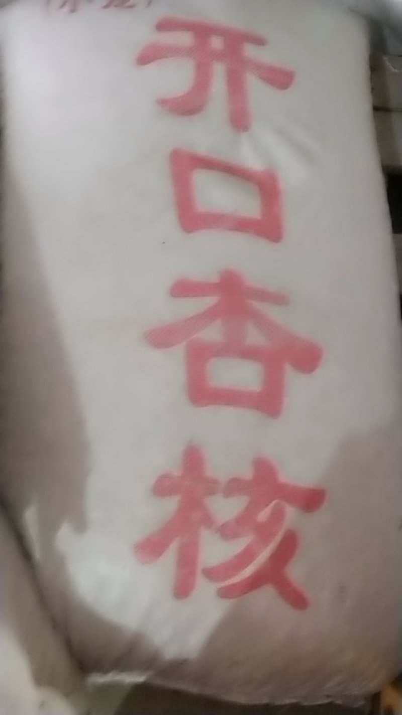 杏核