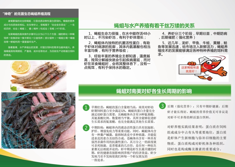 冰冻蝇蛆河蟹南美白对虾罗氏沼虾黄鳝优质饲料