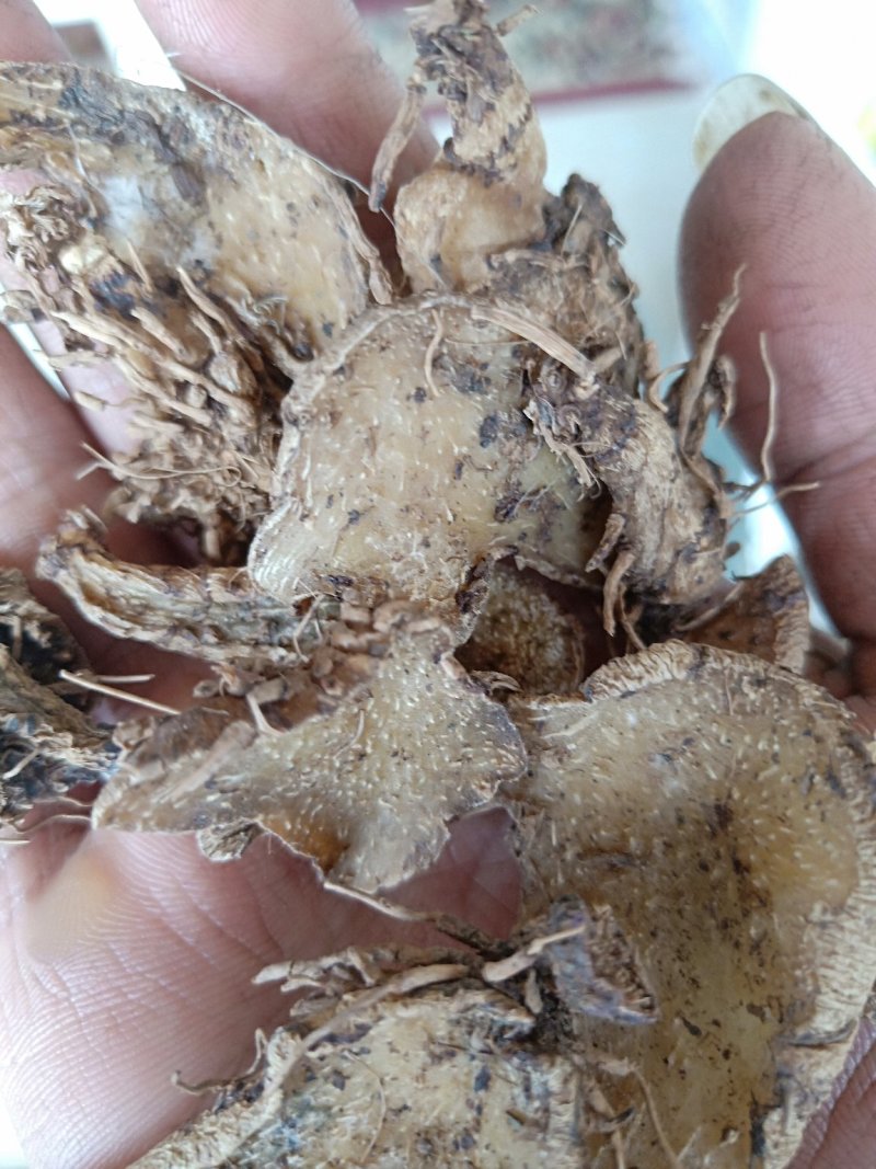 出售干白芨片
