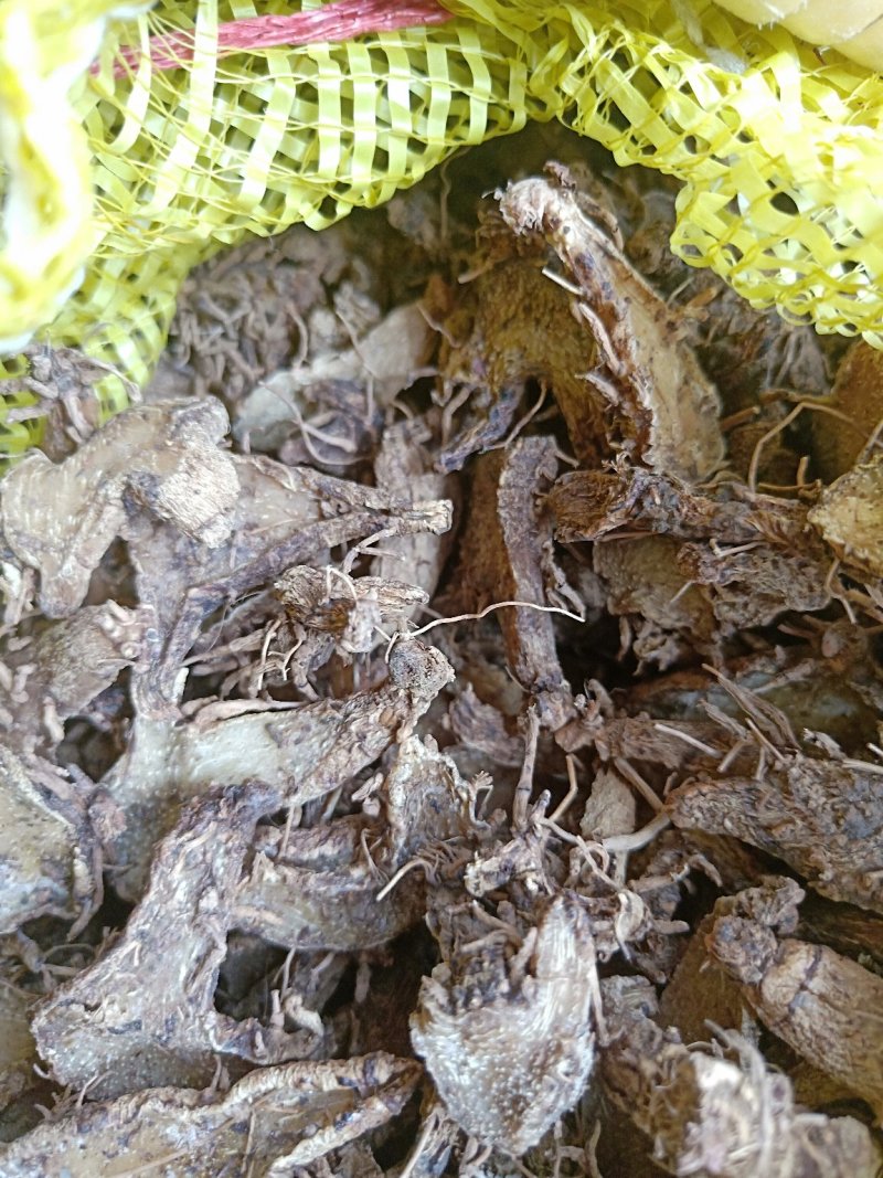 出售干白芨片