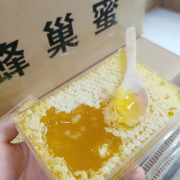 百花巢蜜荆条巢蜜原蜜天然品质高包邮可做一件代发