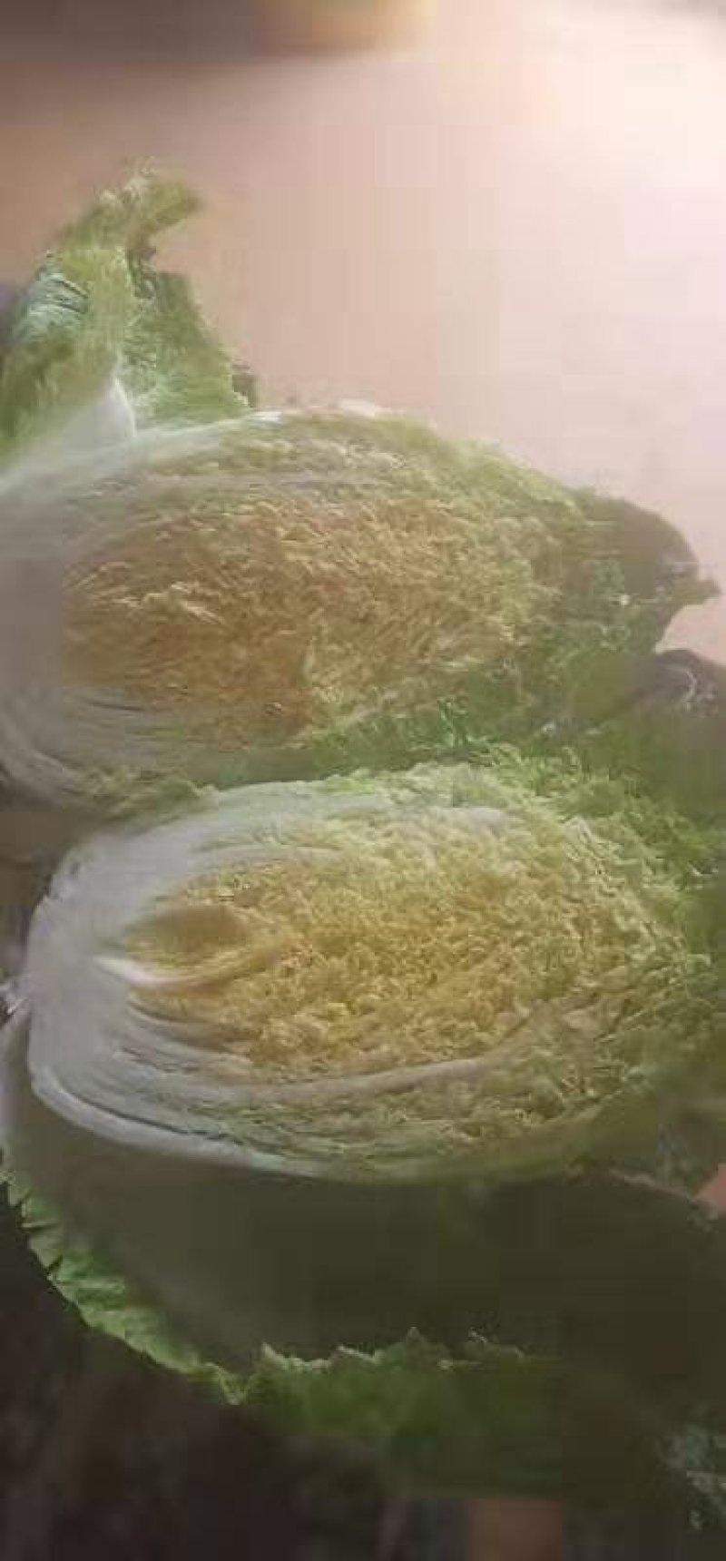 东北白菜，456净菜发市场秋宝秋黄大秋宝