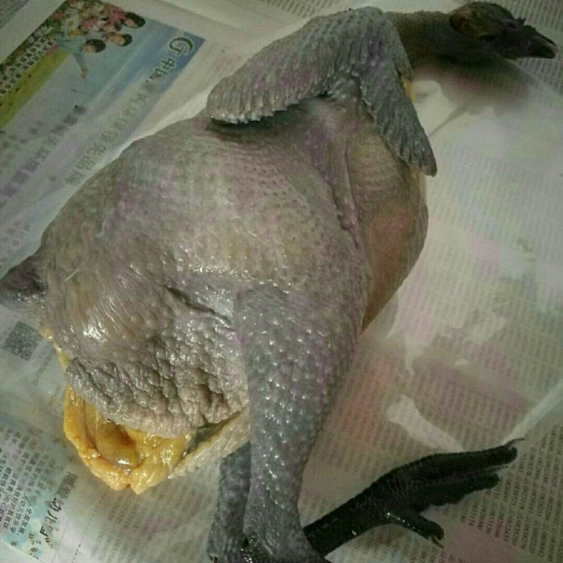 野象林月子鸡呵护您的家人及孩子健康