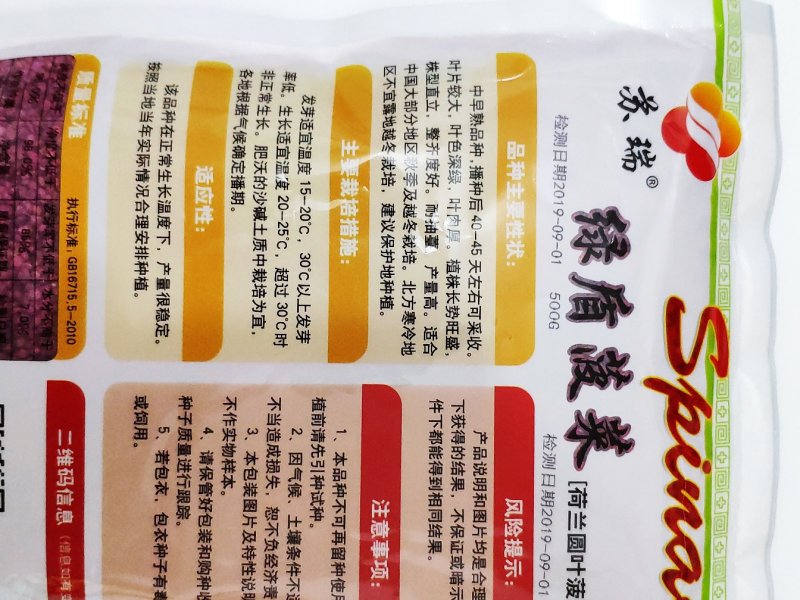 荷兰绿盾黑圆叶菠菜种籽耐寒抗病红根菠菜