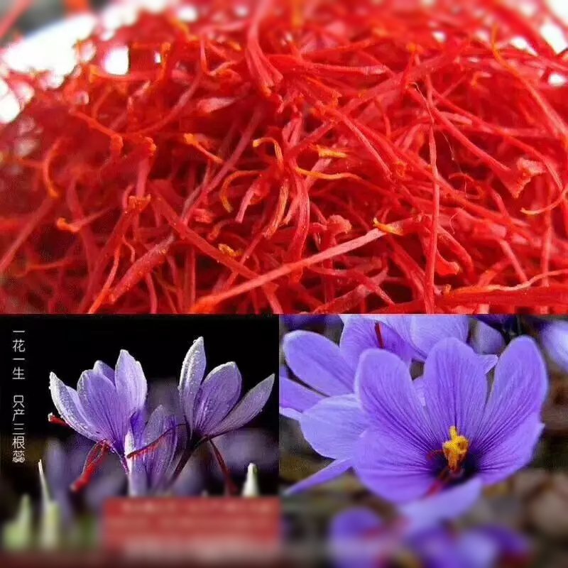 正宗红花藏红花