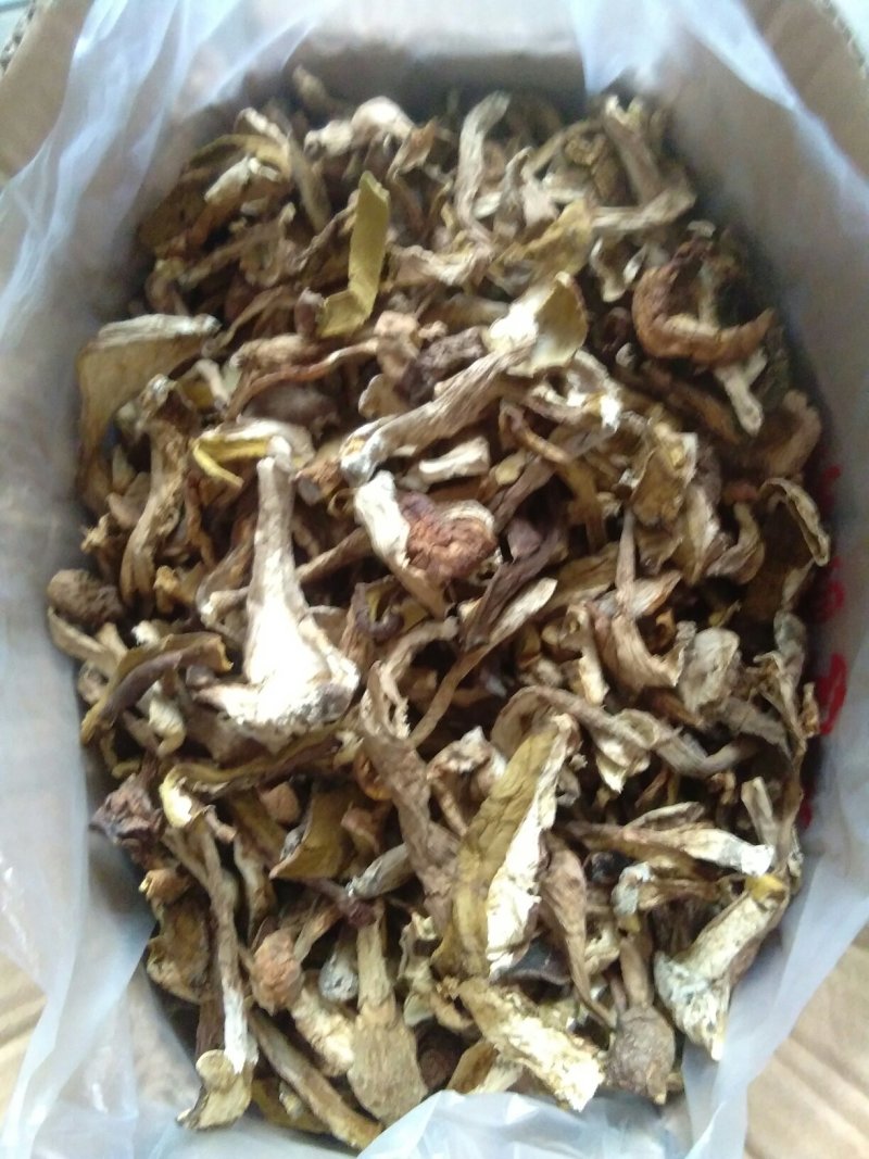 牛肝菌美味牛肝菌