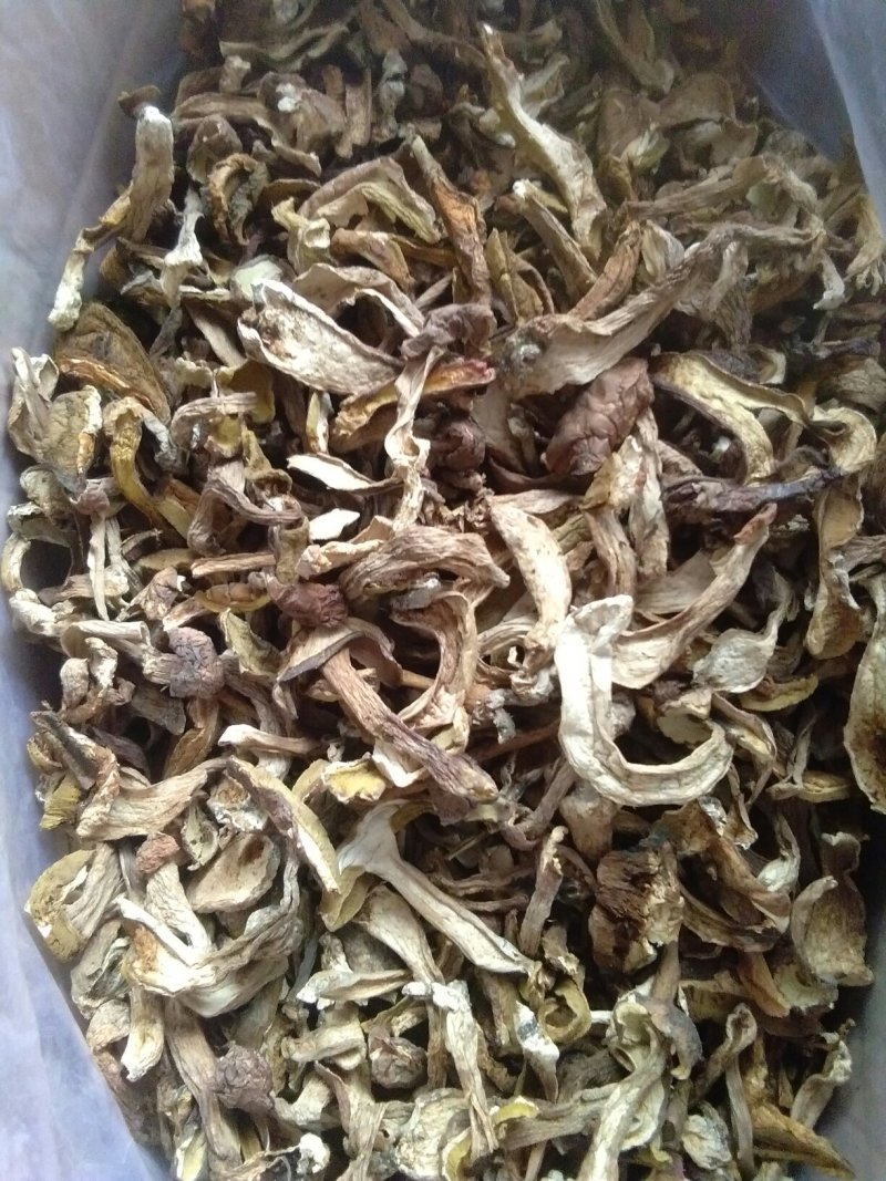 牛肝菌美味牛肝菌